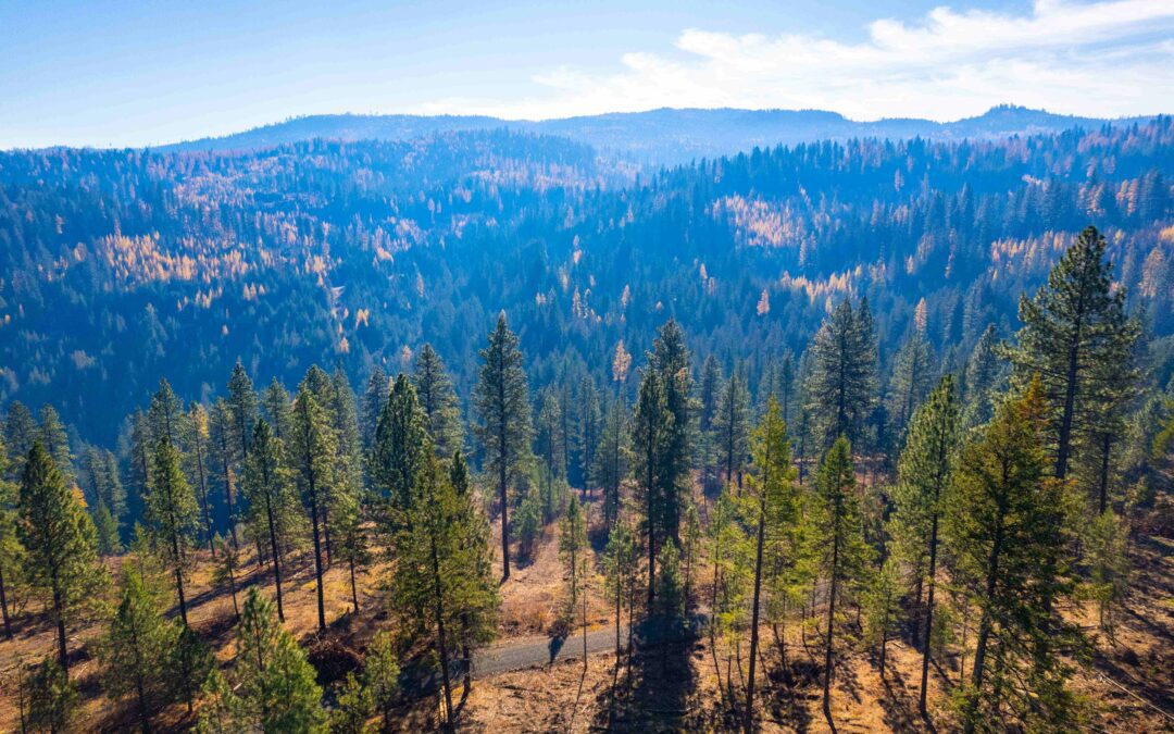 2024 Annual Meeting – May 22-24 – Moscow Idaho
