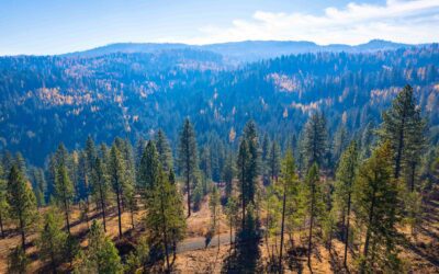 2024 Annual Meeting – May 22-24 – Moscow Idaho