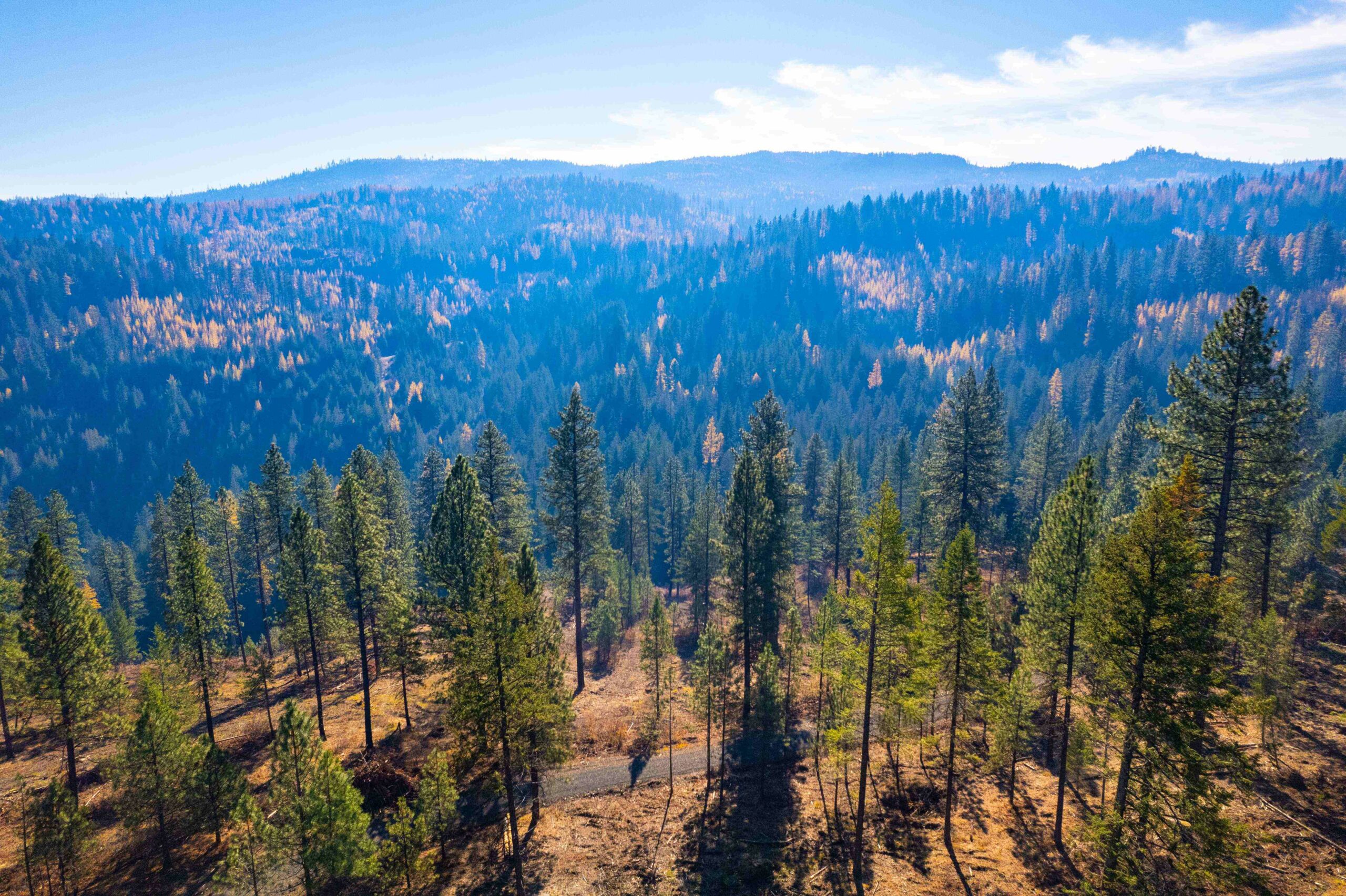 2024 Annual Meeting – May 22-24 – Moscow Idaho